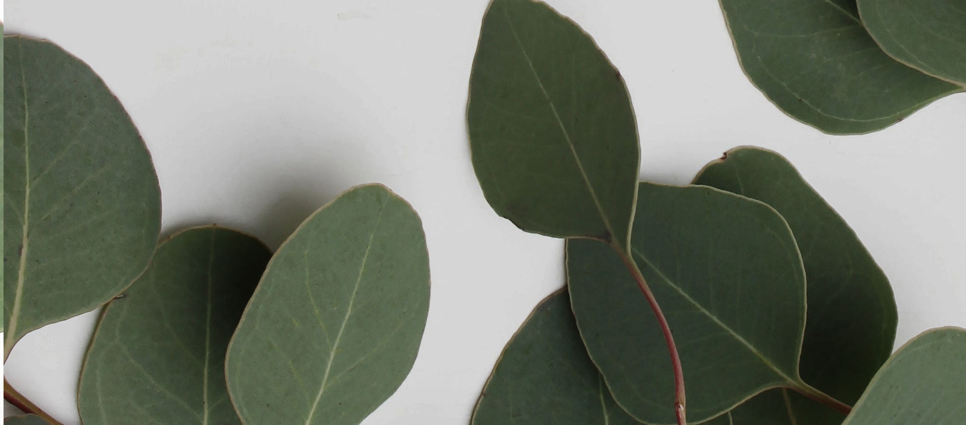 Взыскание ущерба от экологических правонарушений в Агидели