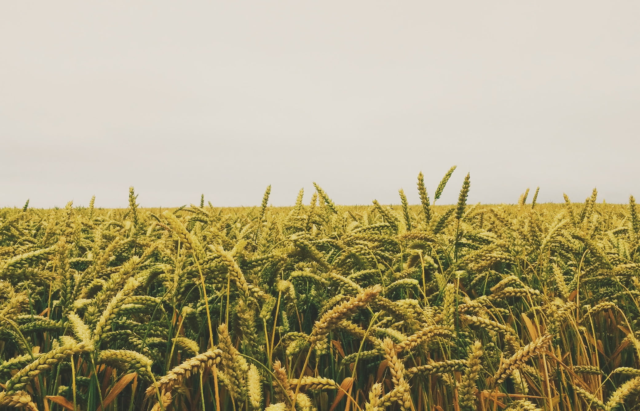 Юрист по земельным спорам в Агидели. Услуги земельного юриста.